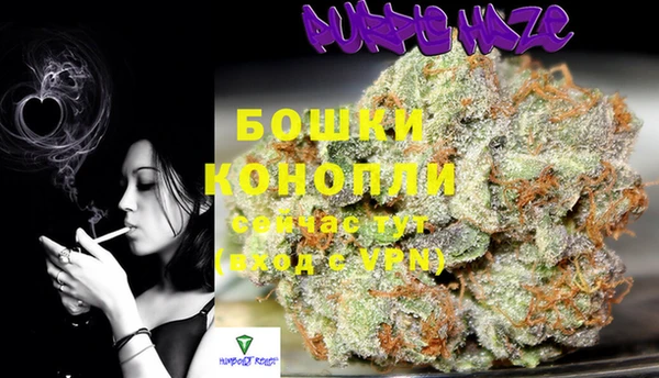 PSILOCYBIN Арсеньев