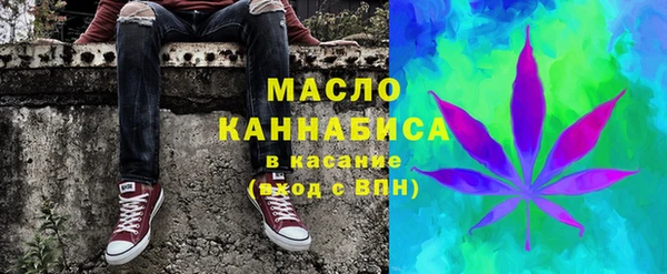 индика Армянск