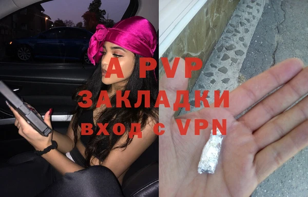 PSILOCYBIN Арсеньев