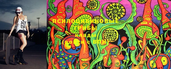 PSILOCYBIN Арсеньев