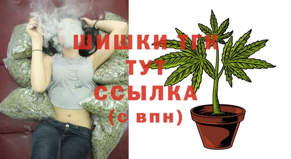 индика Армянск