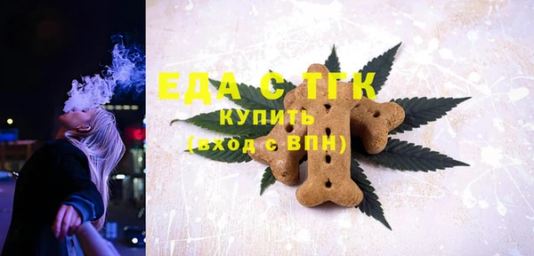 индика Армянск