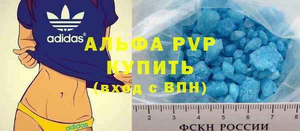 индика Армянск