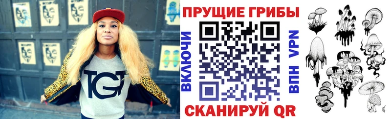 Псилоцибиновые грибы Cubensis  Тайшет 