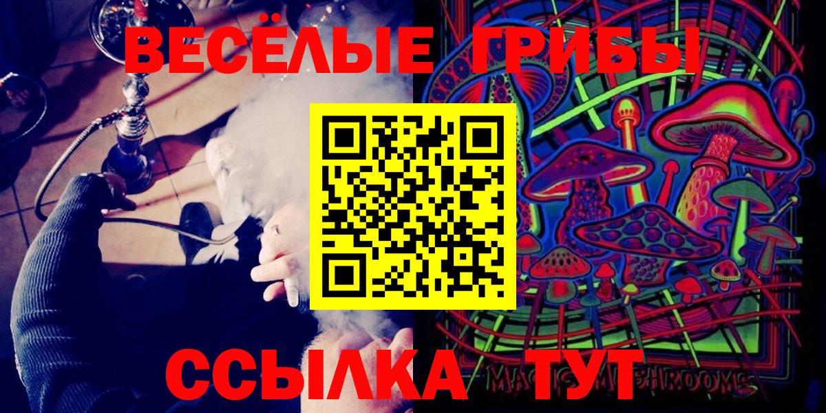 Тайшет  Галлюциногенные грибы ЛСД  Псилоцибиновые грибы Cubensis  Вход с VPN 