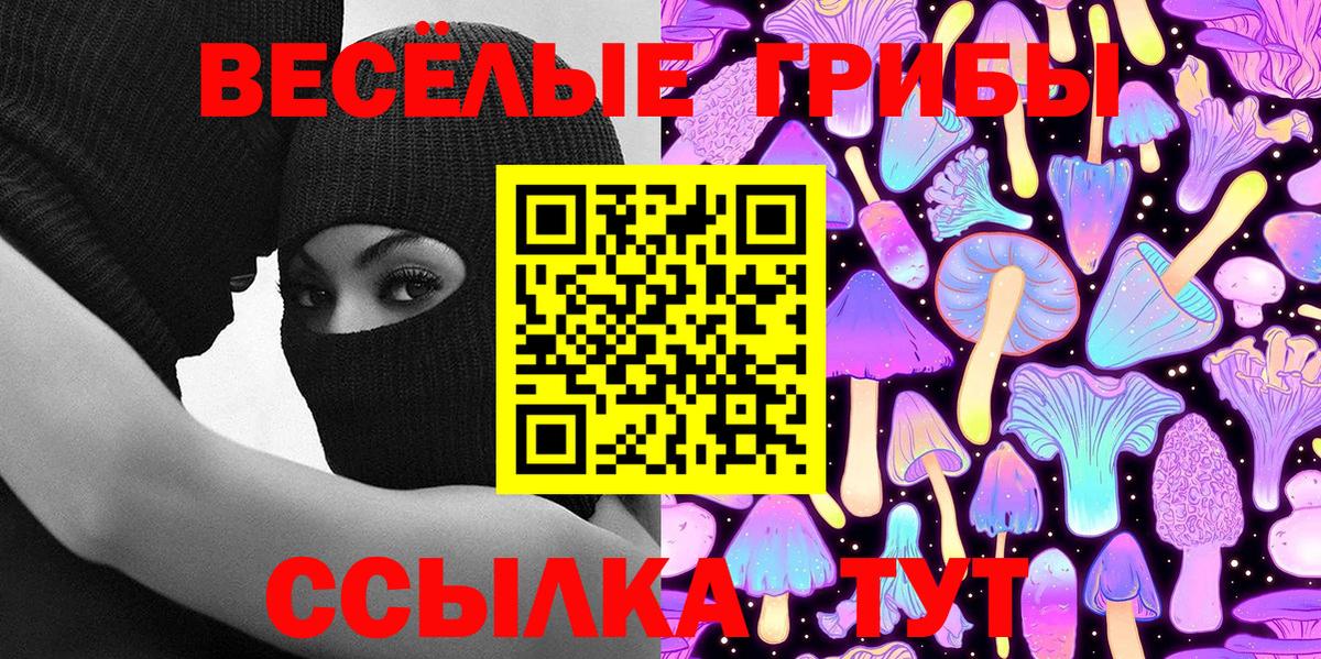 Псилоцибиновые грибы прущие грибы Тайшет